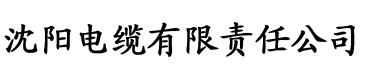 一代女皇秘史武则天电缆厂logo